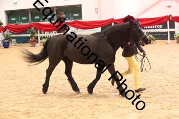 ERB-9160