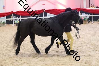 ERB-9161