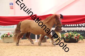 ERB-9165