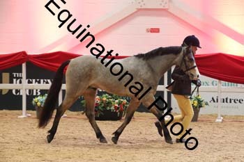 ERB-9183