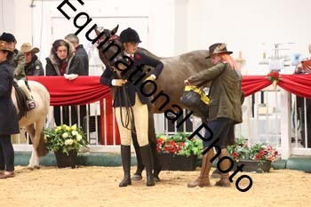 ERB-10093