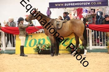 ERB-10095