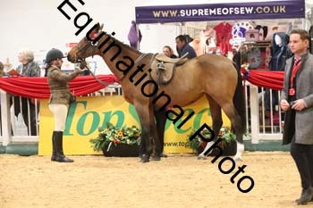 ERB-10096