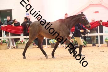 ERB-10109