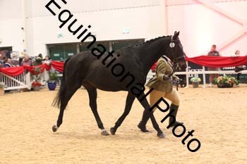 ERB-10117