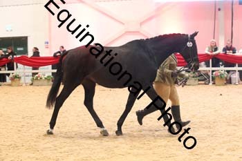 ERB-10118