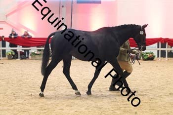 ERB-10119