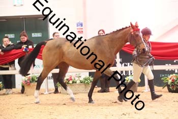 ERB-10124