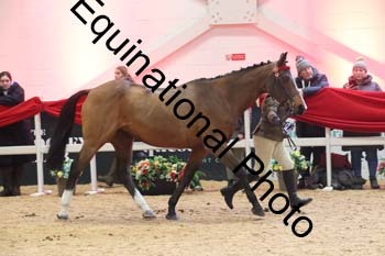 ERB-10125