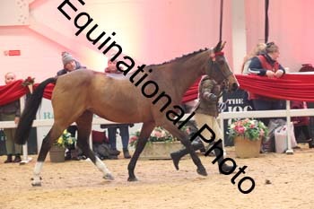 ERB-10126
