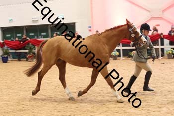 ERB-10127