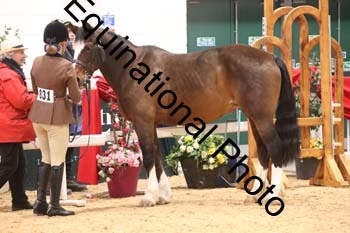ERB-10140