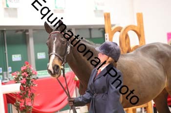 ERB-10145