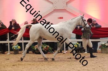ERB-10153