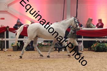 ERB-10154