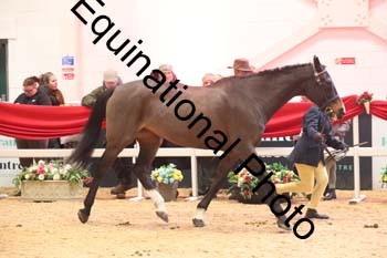 ERB-10158