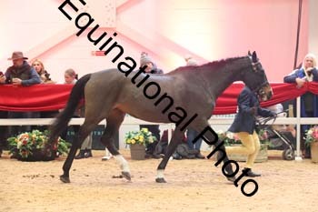 ERB-10159