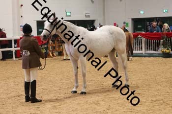 ERB-10161