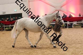 ERB-10165