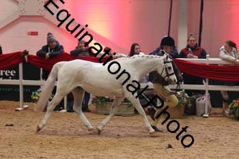 ERB-10174