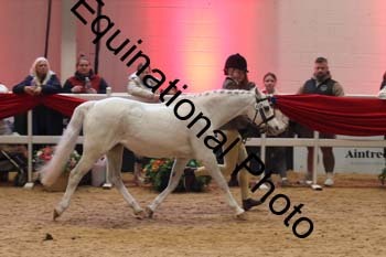 ERB-10175
