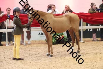 ERB-10177