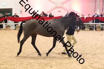 ERB-10179