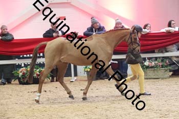 ERB-10187