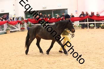 ERB-10189