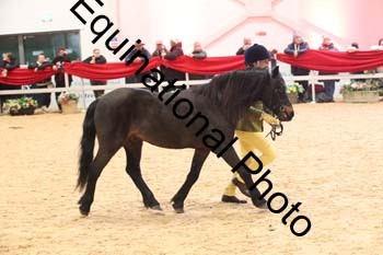 ERB-10190