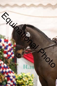 ERB-9194