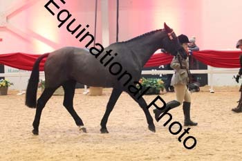 ERB-9700