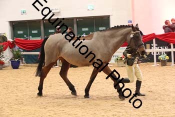 ERB-9713