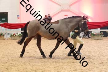 ERB-9714