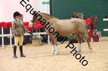 ERB-9716