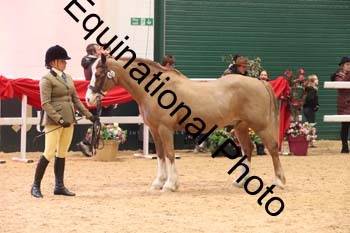 ERB-9717