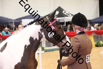 ERB-9719