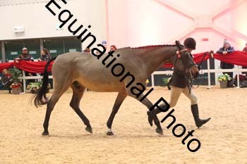 ERB-9731
