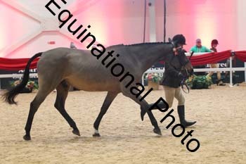 ERB-9732