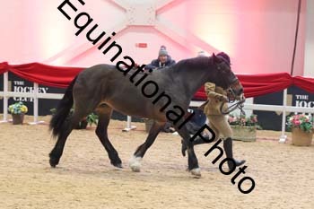 ERB-9735