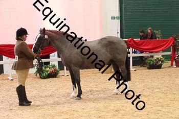 ERB-9739