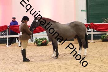 ERB-9741