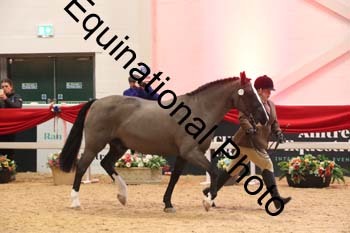 ERB-9746