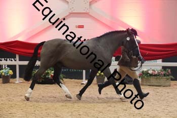 ERB-9747