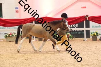 ERB-9768