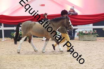 ERB-9769
