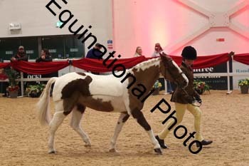 ERB-9771