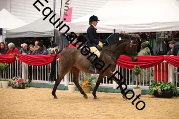 ERB-9874