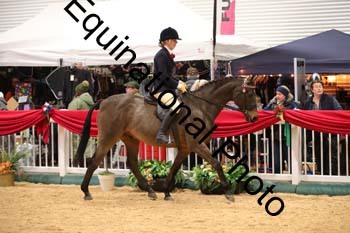 ERB-9875