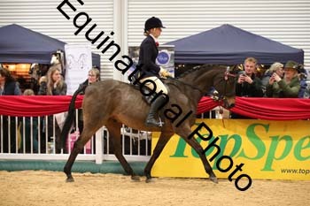 ERB-9877